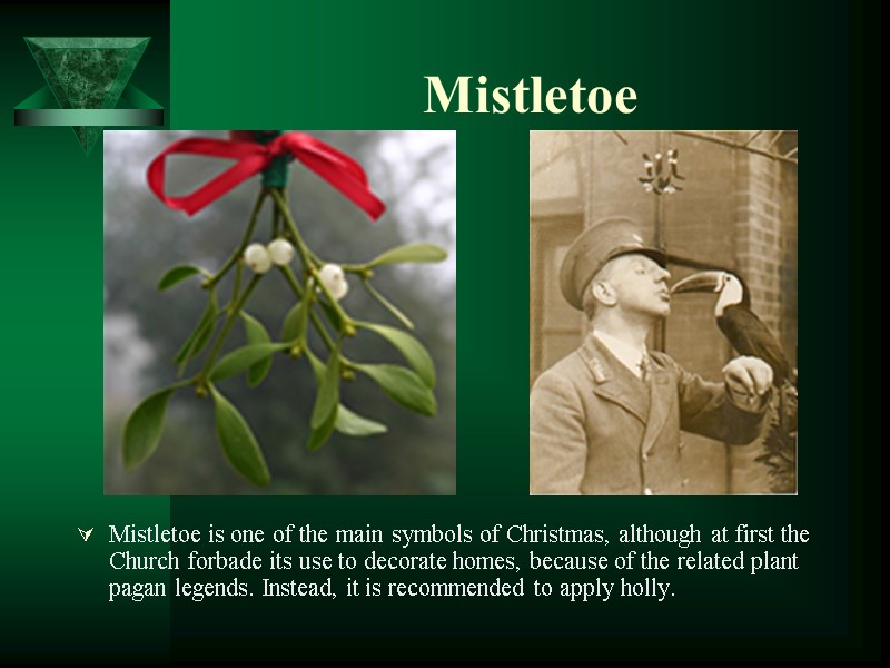 Mistletoe Mistletoe is one of the main symbols of Christmas, although at first the